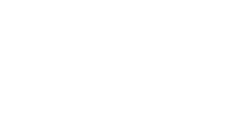 light logo